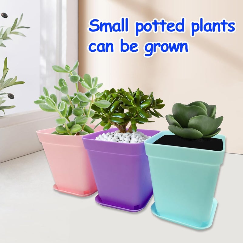 Jgalnim 56PCS 3inch Plastic Nursery Pots,Square Plants Seedling Pots,Multicolor Small Transplanting Flower Pots for Indoor Outdoor,Succulents,Office Home Garden and Balcony Decor(8 Colors) - Image 4